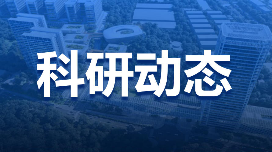 鹏城实验室三维沉浸视频编码技术赋能十五运“超视角”观赛新体验